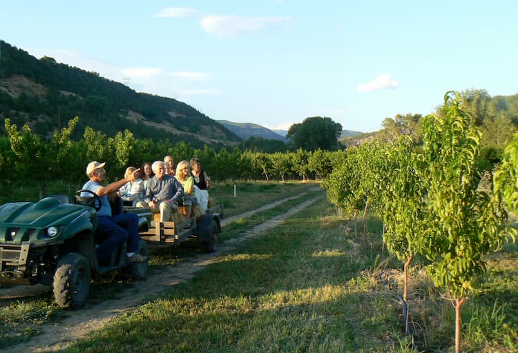 Orchard Valley Farm tour in Paonia, Colorado